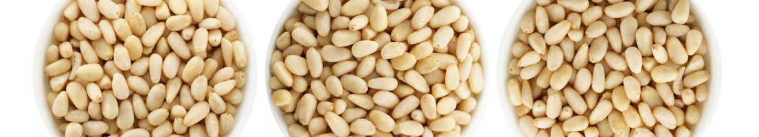 صنوبر